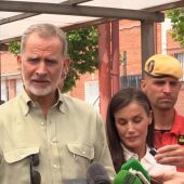 El rey alaba la "ejemplar" coordinación y lamenta la "incalculable" pérdida de patrimonio natural