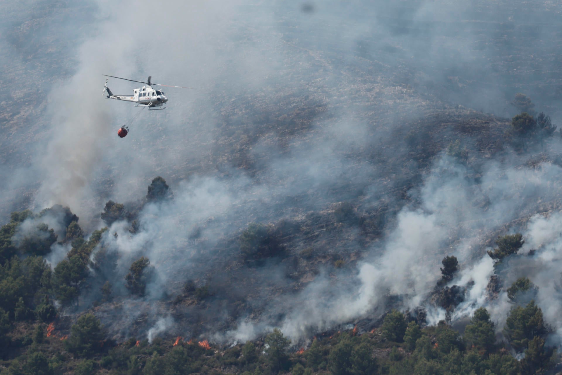 Última hora de los incendios forestales en España, en directo: Cerca de 88.000 evacuados y confinados Última hora de los incendios forestales en España, en directo: Cerca de 88.000 evacuados y confinados