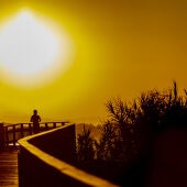 El Maratón de Estepona ‘Jardín de la Costa del Sol’ llega a los 1.000 inscritos