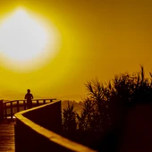 El Maratón de Estepona ‘Jardín de la Costa del Sol’ llega a los 1.000 inscritos El Maratón de Estepona ‘Jardín de la Costa del Sol’ llega a los 1.000 inscritos