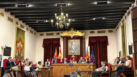 Pleno municipal del Ayuntamiento de Elche del mes de julio 2026. Pleno municipal del Ayuntamiento de Elche del mes de julio 2026.