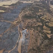 El fuego ha arrasado más de 38.000 hectáreas en Aragón El fuego ha arrasado más de 38.000 hectáreas en Aragón