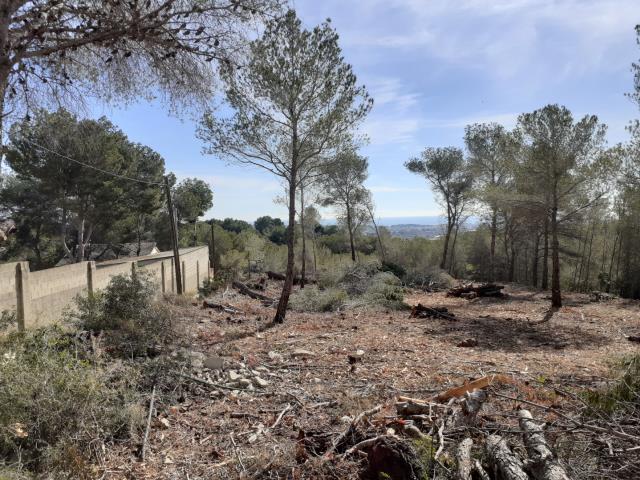 Vilanova reforça la prevenció d'incendis amb nous plans, franges forestals i implicació ciutadana Vilanova reforça la prevenció d'incendis amb nous plans, franges forestals i implicació ciutadana