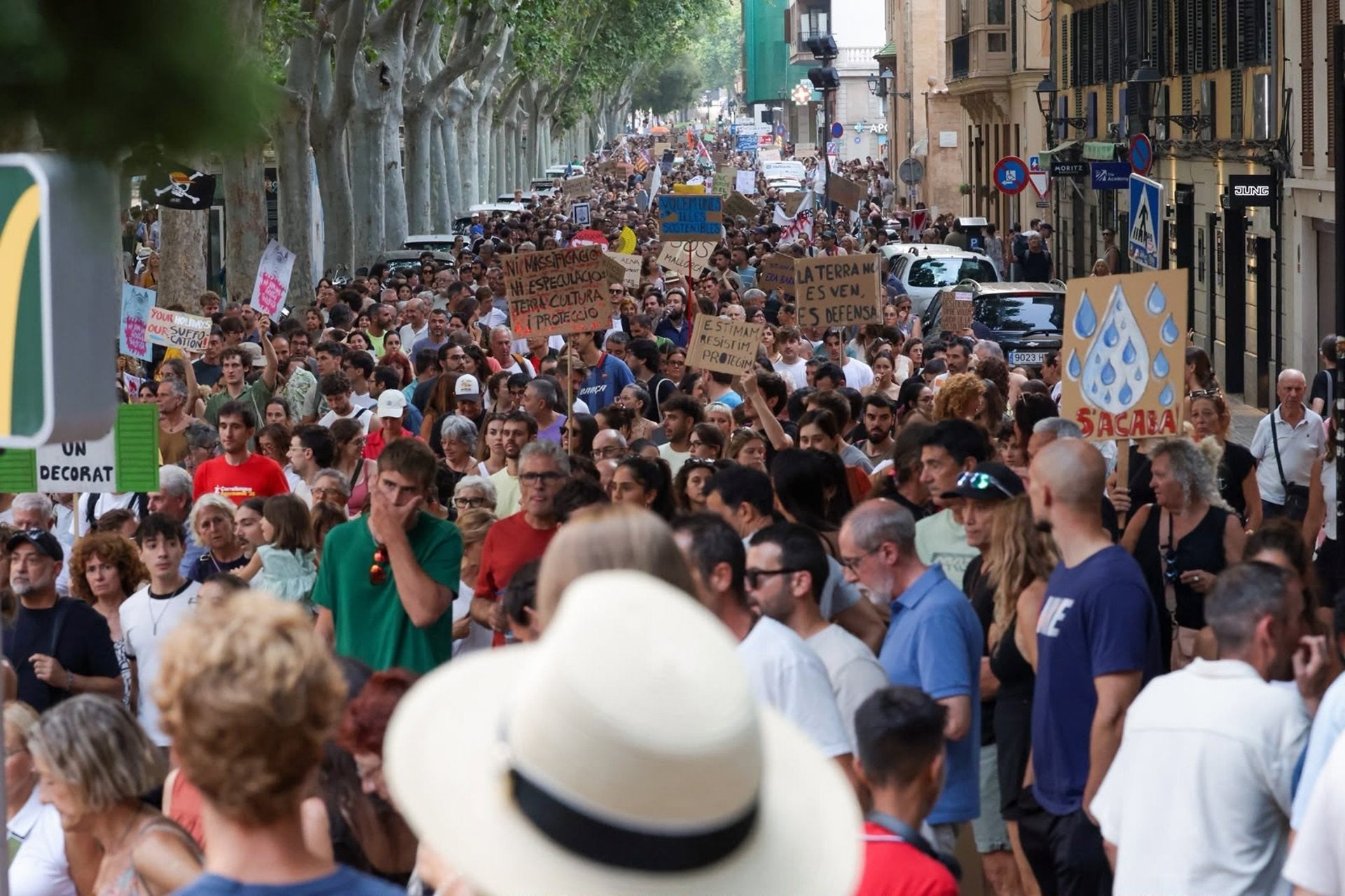 El Gobierno pedirá explicaciones por las actuaciones "inaceptables" en la marcha contra el turismo masivo en Palma El Gobierno pedirá explicaciones por las actuaciones "inaceptables" en la marcha contra el turismo masivo en Palma