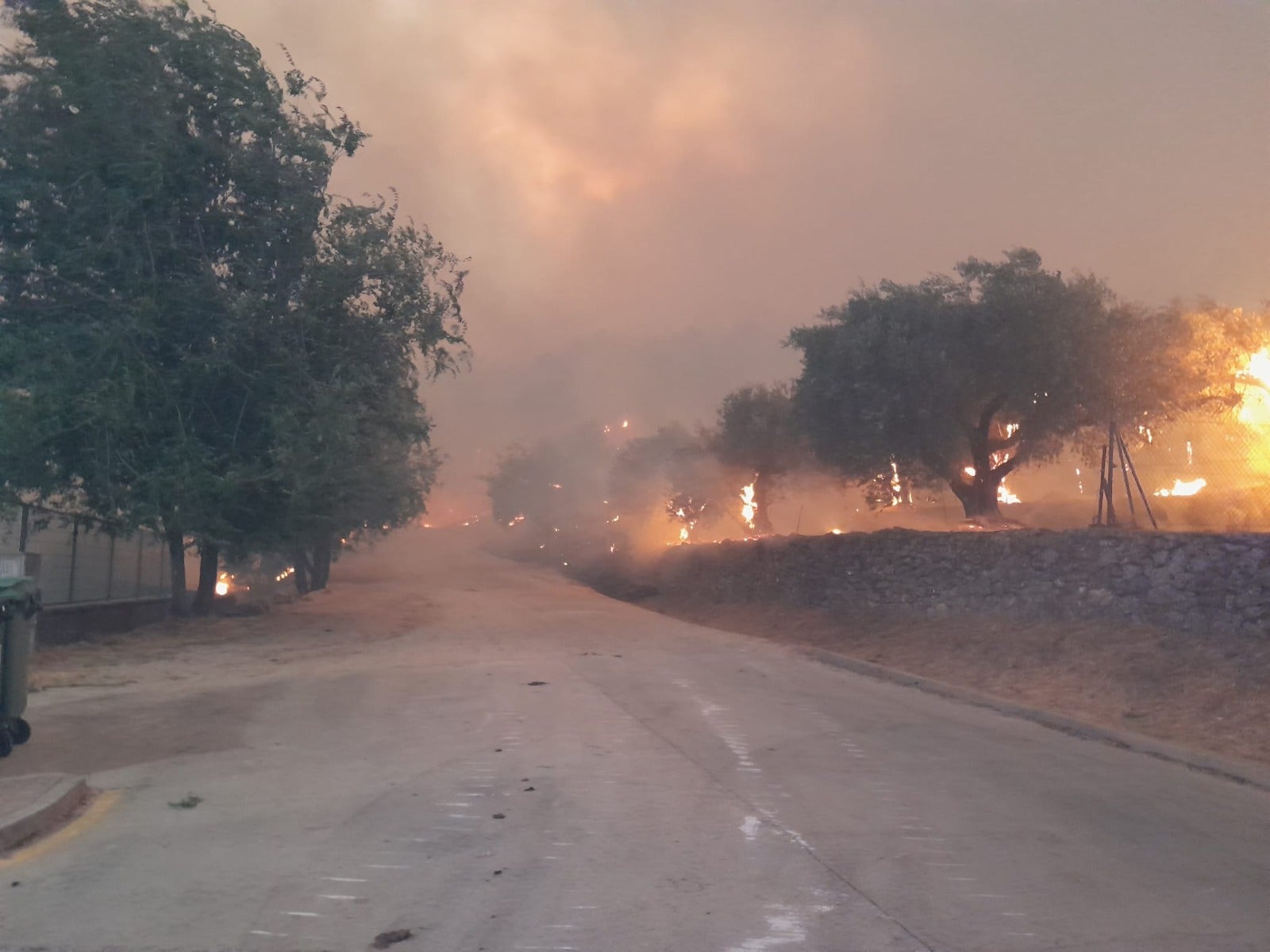 El INFOEX daba por extinguido el incendio forestal de Cuacos de Yuste y por estabilizado un incendio en Garcíaz El INFOEX daba por extinguido el incendio forestal de Cuacos de Yuste y por estabilizado un incendio en Garcíaz