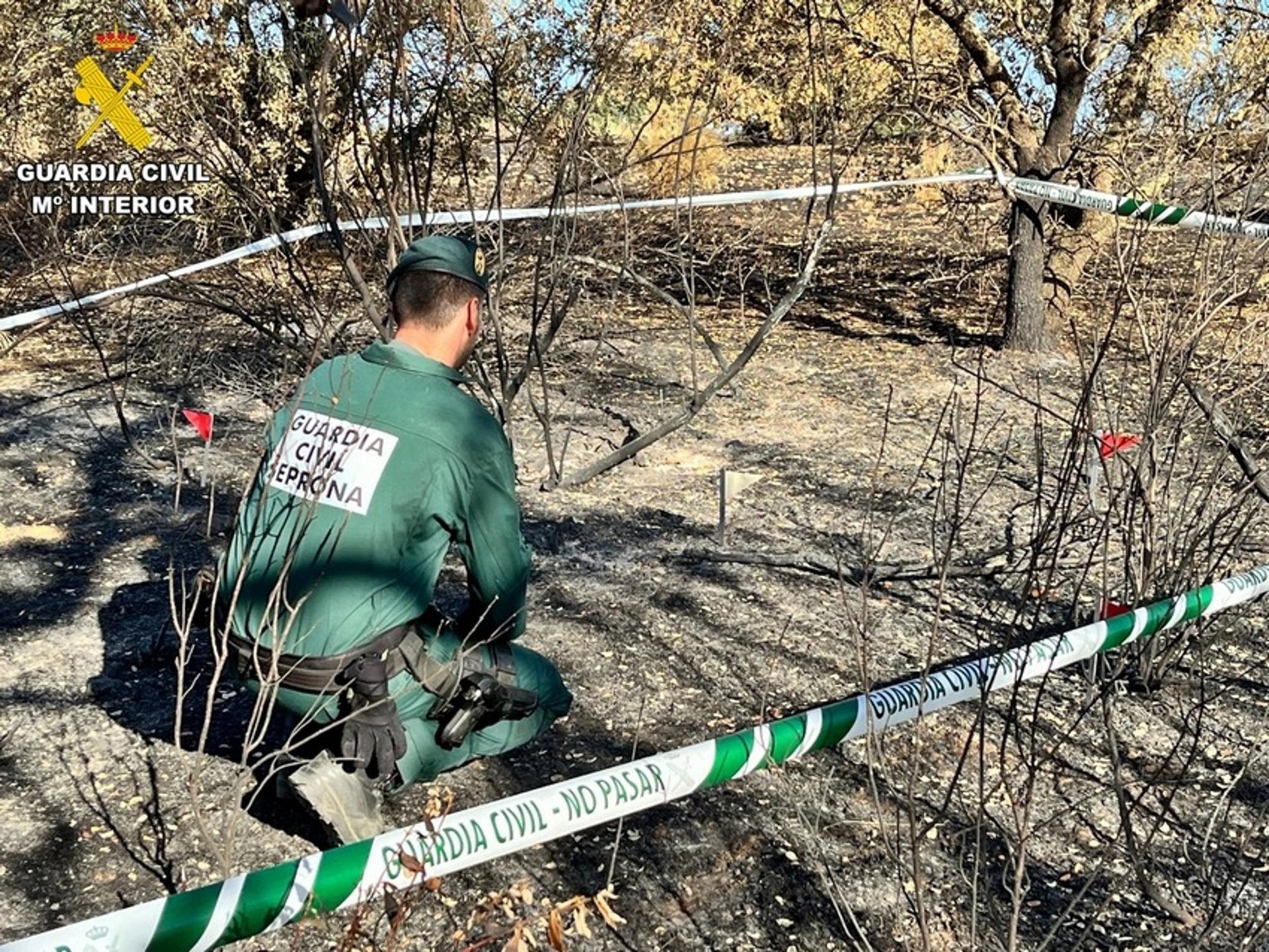 Investigado un vecino de Talarrubias por provocar de forma intencionada dos incendios en días sucesivos Investigado un vecino de Talarrubias por provocar de forma intencionada dos incendios en días sucesivos