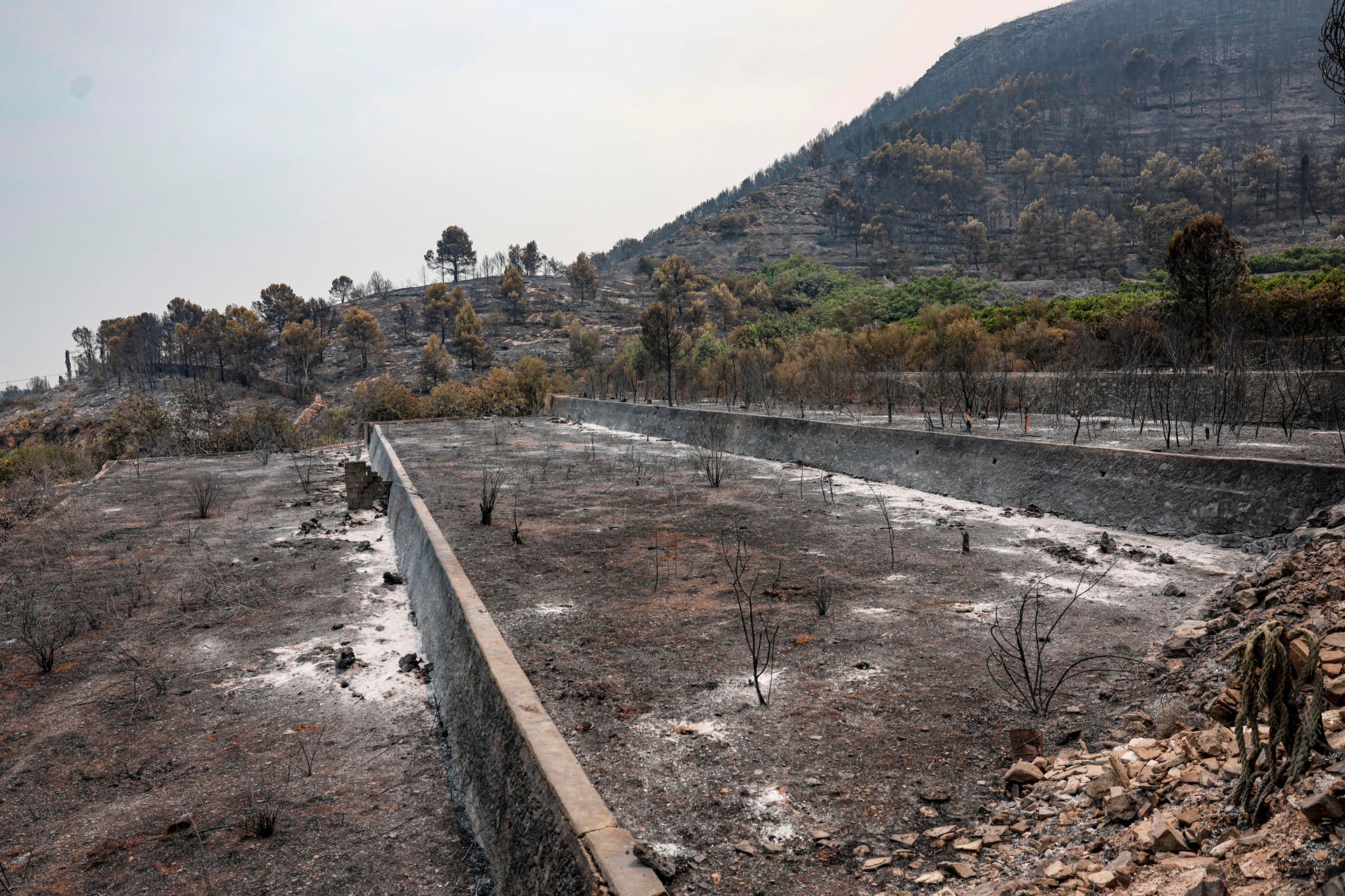Suben a 8.500 las hectáreas arrasadas en el incendio de Vall d'Uixó con 72 km de perímetro Suben a 8.500 las hectáreas arrasadas en el incendio de Vall d'Uixó con 72 km de perímetro