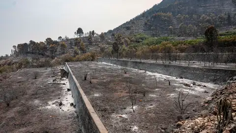 Vista general de los montes y bancales que rodean el pueblo de La Vilavella (Castellón), uno de los municipios desalojados por el incendio declarado el pasado sábado en la Vall d'Uixó (Castellón). Vista general de los montes y bancales que rodean el pueblo de La Vilavella (Castellón), uno de los municipios desalojados por el incendio declarado el pasado sábado en la Vall d'Uixó (Castellón).