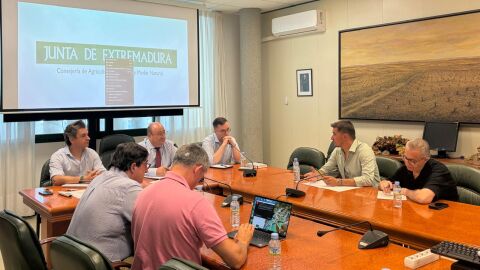 Agricultura consens&uacute;a con el sector medidas de apoyo para los productores de cereza afectados por la borrasca de mayo