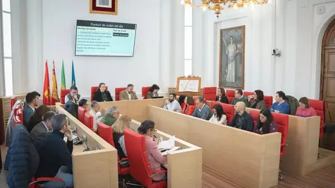 Las entidades afectadas por la modificación del Plan Parcial SUP-NO-02 recurren el acuerdo plenario de Mérida Las entidades afectadas por la modificación del Plan Parcial SUP-NO-02 recurren el acuerdo plenario de Mérida