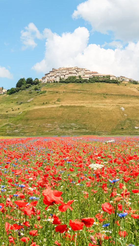 Norcia Norcia