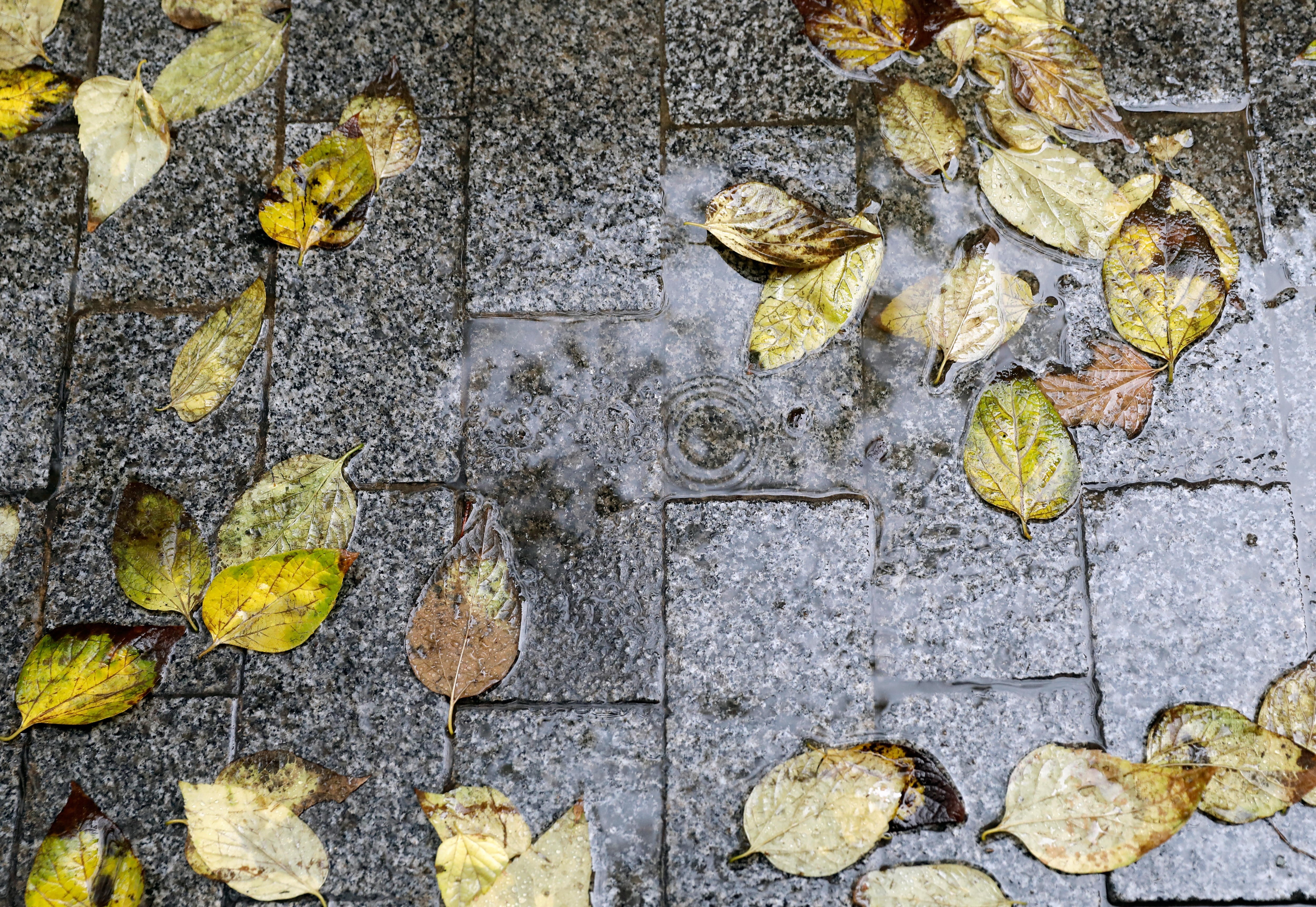 Aviso amarillo este martes por tormentas y granizo en el interior norte de Castellón Aviso amarillo este martes por tormentas y granizo en el interior norte de Castellón