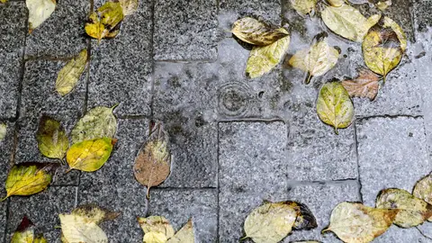 Lluvia cayendo sobre el pavimento. Lluvia cayendo sobre el pavimento.