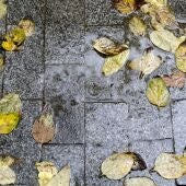 Lluvia cayendo sobre el pavimento.