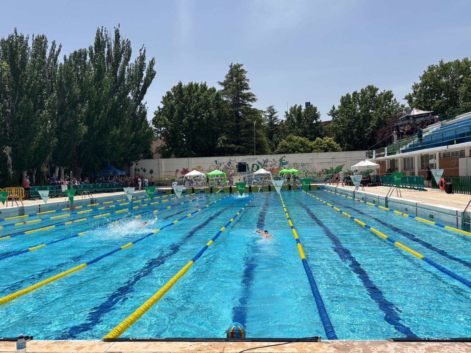 Nuevas escaleras más accesibles en las piscinas municipales de Feria, Olímpica y Cubierta del ‘Carlos Belmonte’ Nuevas escaleras más accesibles en las piscinas municipales de Feria, Olímpica y Cubierta del ‘Carlos Belmonte’