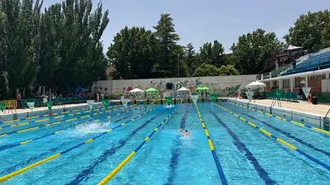 Nuevas escaleras más accesibles en las piscinas municipales de Feria, Olímpica y Cubierta del ‘Carlos Belmonte’ Nuevas escaleras más accesibles en las piscinas municipales de Feria, Olímpica y Cubierta del ‘Carlos Belmonte’