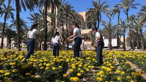 Este martes las Reinas y Damas de las Fiestas de Elche 2026 han acudido al Hort de la Coronela. Este martes las Reinas y Damas de las Fiestas de Elche 2026 han acudido al Hort de la Coronela.