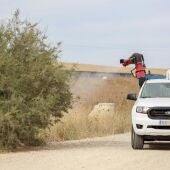 Aumentan a 21 los casos de Virus del Nilo en Andalucía tras detectarse dos en Coria del Río y Villamanrique