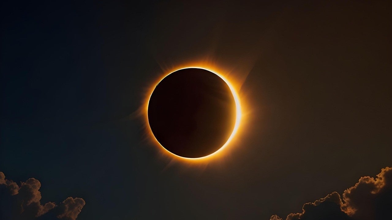 València prepara un operativo especial de limpieza en playas y el punto de observación para el eclipse solar València prepara un operativo especial de limpieza en playas y el punto de observación para el eclipse solar