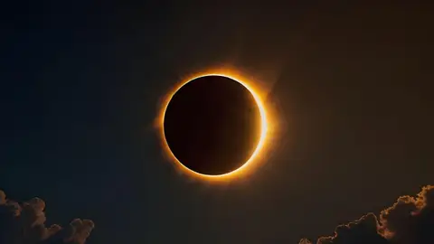 València prepara un operativo especial de limpieza en playas y el punto de observación para el eclipse solar València prepara un operativo especial de limpieza en playas y el punto de observación para el eclipse solar/ AYUNTAMIENTO VALÈNCIA/Europa Press