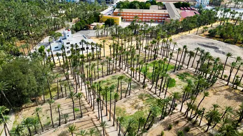 L’Hort del Gat de Elche abre sus puertas este viernes de 8:30 a 20:30 horas. L’Hort del Gat de Elche abre sus puertas este viernes de 8:30 a 20:30 horas.
