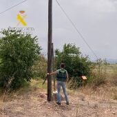 Detenidos dos hombres por el robo de 6.500 metros de cable telefónico y daños en una red de fibra óptica en Onda
