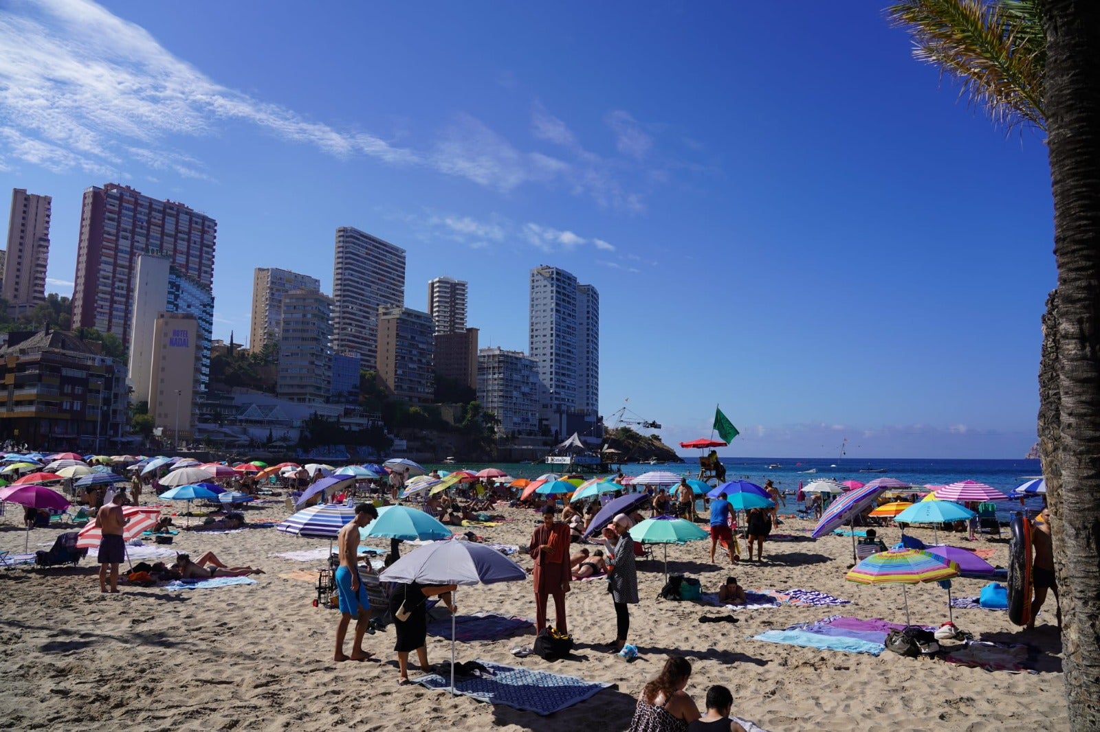 El PSPV acusa a Martínez Mus de vender en Benidorm "falsas soluciones" ante la sentencia firme de Punta Llisera mientras incumple su promesa del Paseo de Poniente El PSPV acusa a Martínez Mus de vender en Benidorm "falsas soluciones" ante la sentencia firme de Punta Llisera mientras incumple su promesa del Paseo de Poniente