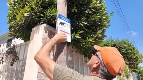 Instalación de la señalización oficial en las colonias felinas de Santa Pola. Instalación de la señalización oficial en las colonias felinas de Santa Pola.