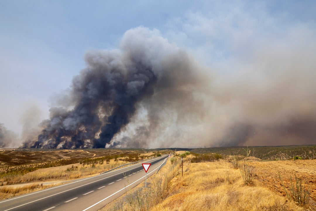 Vista del incendio forestal en Niebla (Huelva) en el que participan veinte medios aéreos, 275 efectivos y 94 vehículos Vista del incendio forestal en Niebla (Huelva) en el que participan veinte medios aéreos, 275 efectivos y 94 vehículos