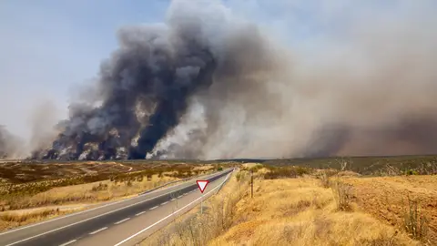 Vista del incendio forestal en Niebla (Huelva) en el que participan veinte medios aéreos, 275 efectivos y 94 vehículos Vista del incendio forestal en Niebla (Huelva) en el que participan veinte medios aéreos, 275 efectivos y 94 vehículos