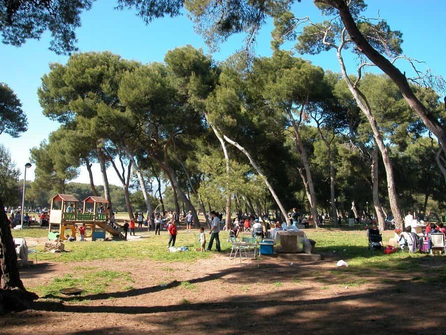 Castellón cierra los paelleros del Pinar y paraliza el montaje de los escenarios del eclipse por la alerta naranja Castellón cierra los paelleros del Pinar y paraliza el montaje de los escenarios del eclipse por la alerta naranja