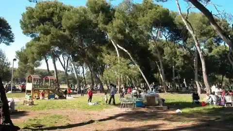 Castellón cierra los paelleros del Pinar y paraliza el montaje de los escenarios del eclipse por la alerta naranja Castellón cierra los paelleros del Pinar y paraliza el montaje de los escenarios del eclipse por la alerta naranja