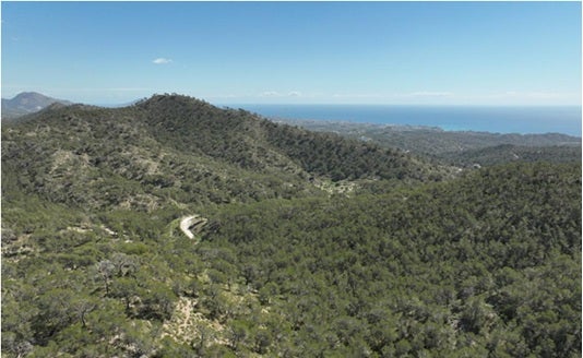 Villajoyosa consigue una inversión de 60.000 euros para mejorar más de 15 hectáreas del monte municipal de l’Alt de Sebastià Villajoyosa consigue una inversión de 60.000 euros para mejorar más de 15 hectáreas del monte municipal de l’Alt de Sebastià