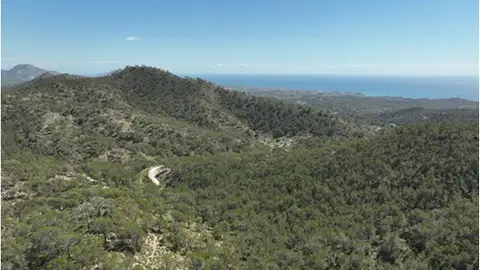 Villajoyosa consigue una inversión de 60.000 euros para mejorar más de 15 hectáreas del monte municipal de l’Alt de Sebastià Villajoyosa consigue una inversión de 60.000 euros para mejorar más de 15 hectáreas del monte municipal de l’Alt de Sebastià