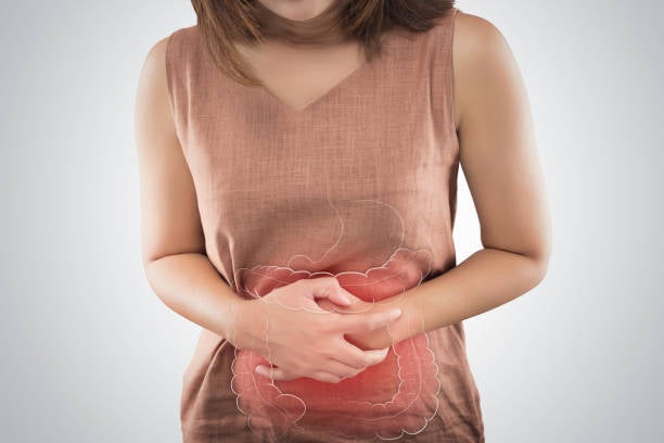 Los expertos alertan que las altas temperaturas elevan el riesgo de intoxicaciones alimentarias este verano Los expertos alertan que las altas temperaturas elevan el riesgo de intoxicaciones alimentarias este verano
