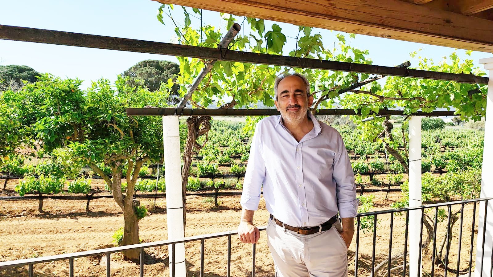 Álvaro Pérez Navazo: "Los primeros mostos están muy limpios y muy aromáticos gracias a las lluvias del invierno y a unos racimos que han llegado en buenas condiciones" Álvaro Pérez Navazo: "Los primeros mostos están muy limpios y muy aromáticos gracias a las lluvias del invierno y a unos racimos que han llegado en buenas condiciones"