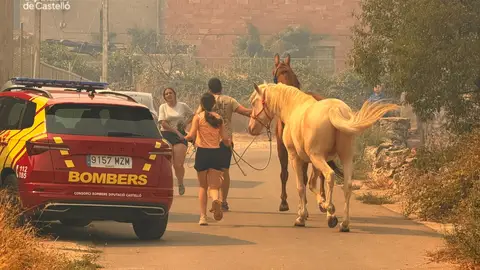 El incendio de Tírig afronta una jornada clave tras evacuar a cerca de 900 personas de Catí El incendio de Tírig afronta una jornada clave tras evacuar a cerca de 900 personas de Catí