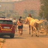 El incendio de Tírig afronta una jornada clave tras evacuar a cerca de 900 personas de Catí
