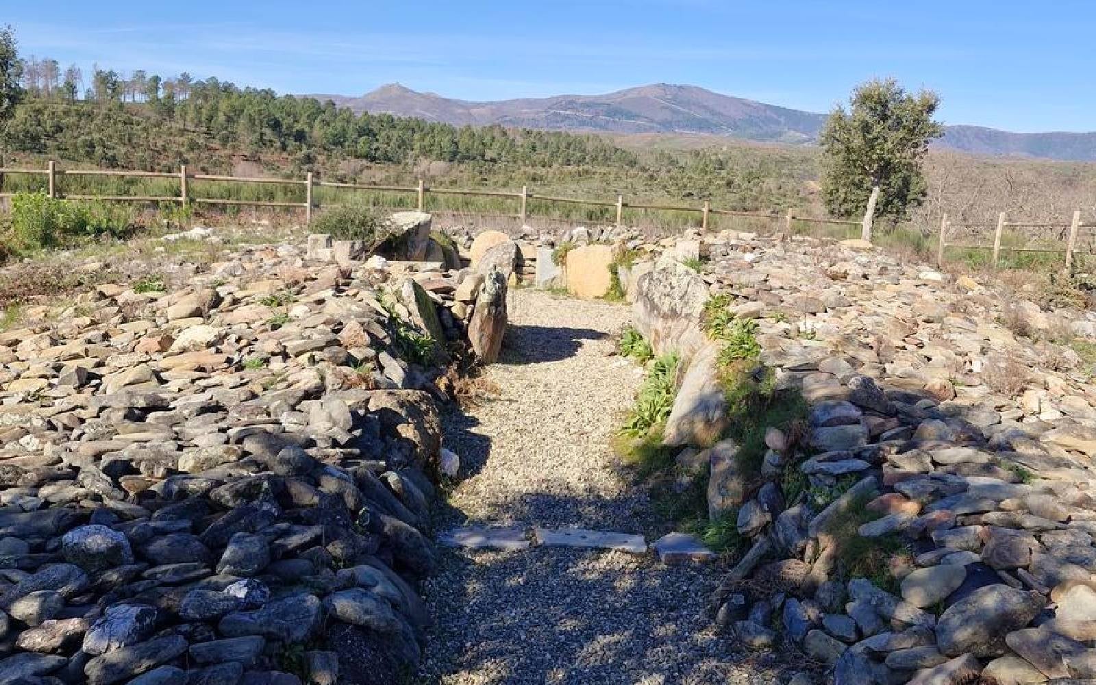 La comarca de Sierra de Gata cuenta con la primera biblioteca especializada en megalitismo de la España rural La comarca de Sierra de Gata cuenta con la primera biblioteca especializada en megalitismo de la España rural