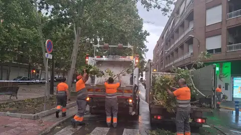 Las brigadas municipales redoblan esfuerzos para recuperar la normalidad tras la tormenta de ayer. Las brigadas municipales redoblan esfuerzos para recuperar la normalidad tras la tormenta de ayer.