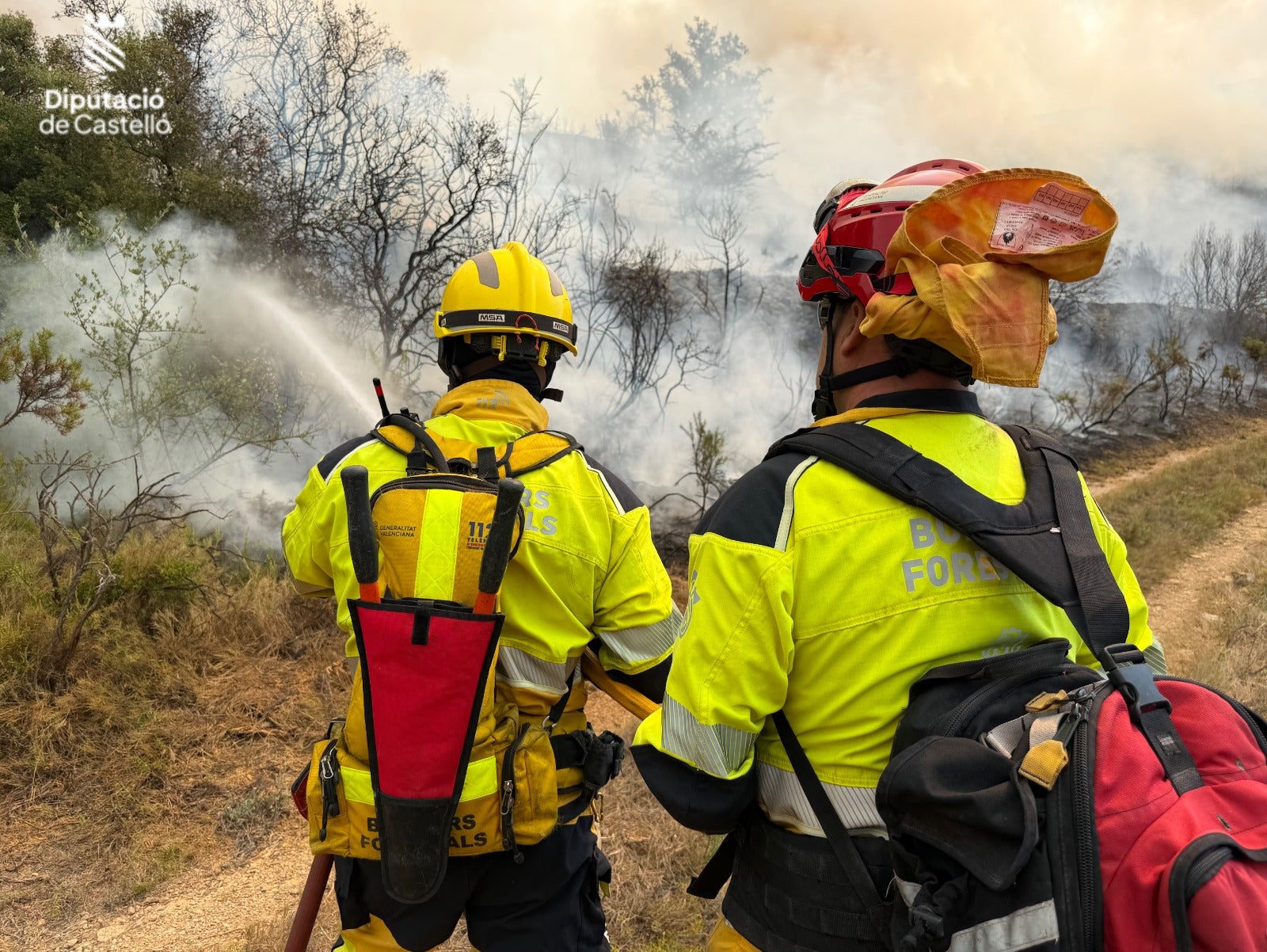 Diputación concederá 20.000 euros a Tírig y Catí para paliar los daños del incendio Diputación concederá 20.000 euros a Tírig y Catí para paliar los daños del incendio