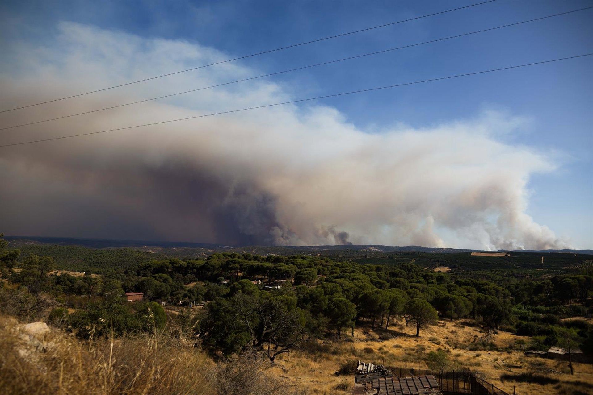 El incendio de Niebla entra en la provincia de Sevilla con un nuevo foco en Aznalcóllar El incendio de Niebla entra en la provincia de Sevilla con un nuevo foco en Aznalcóllar