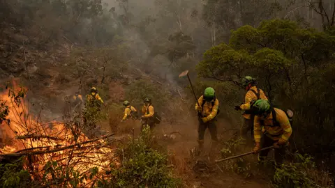 Efectivos trabajan en el incendio forestal en Niebla, en Huelva. Efectivos trabajan en el incendio forestal en Niebla, en Huelva.