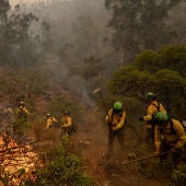 Efectivos trabajan en el incendio forestal en Niebla, en Huelva.