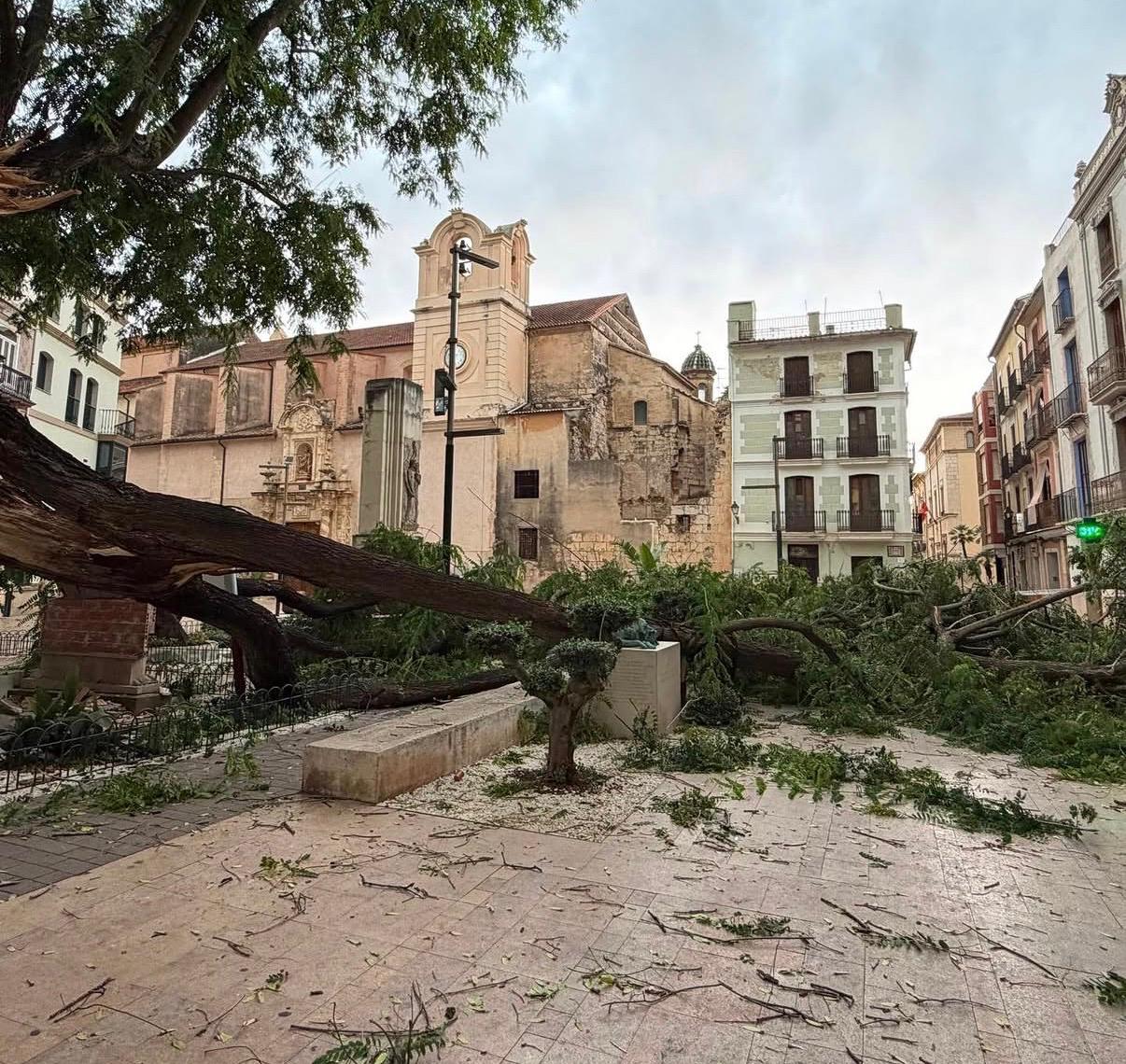 Una tormenta con ráfagas de 79 km/h causa la caída de varias ramas y árboles en Alzira Una tormenta con ráfagas de 79 km/h causa la caída de varias ramas y árboles en Alzira
