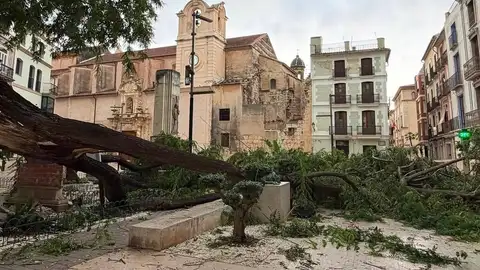 Una tormenta con ráfagas de 79 km/h causa la caída de varias ramas y árboles en Alzira Una tormenta con ráfagas de 79 km/h causa la caída de varias ramas y árboles en Alzira