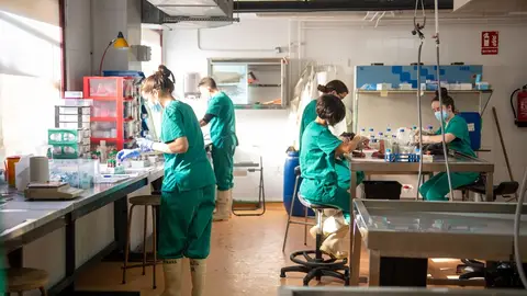 La UCLM lanza la mayor convocatoria postdoctoral de su historia, con más de 3,2 millones de euros y 30 contratos La UCLM lanza la mayor convocatoria postdoctoral de su historia, con más de 3,2 millones de euros y 30 contratos