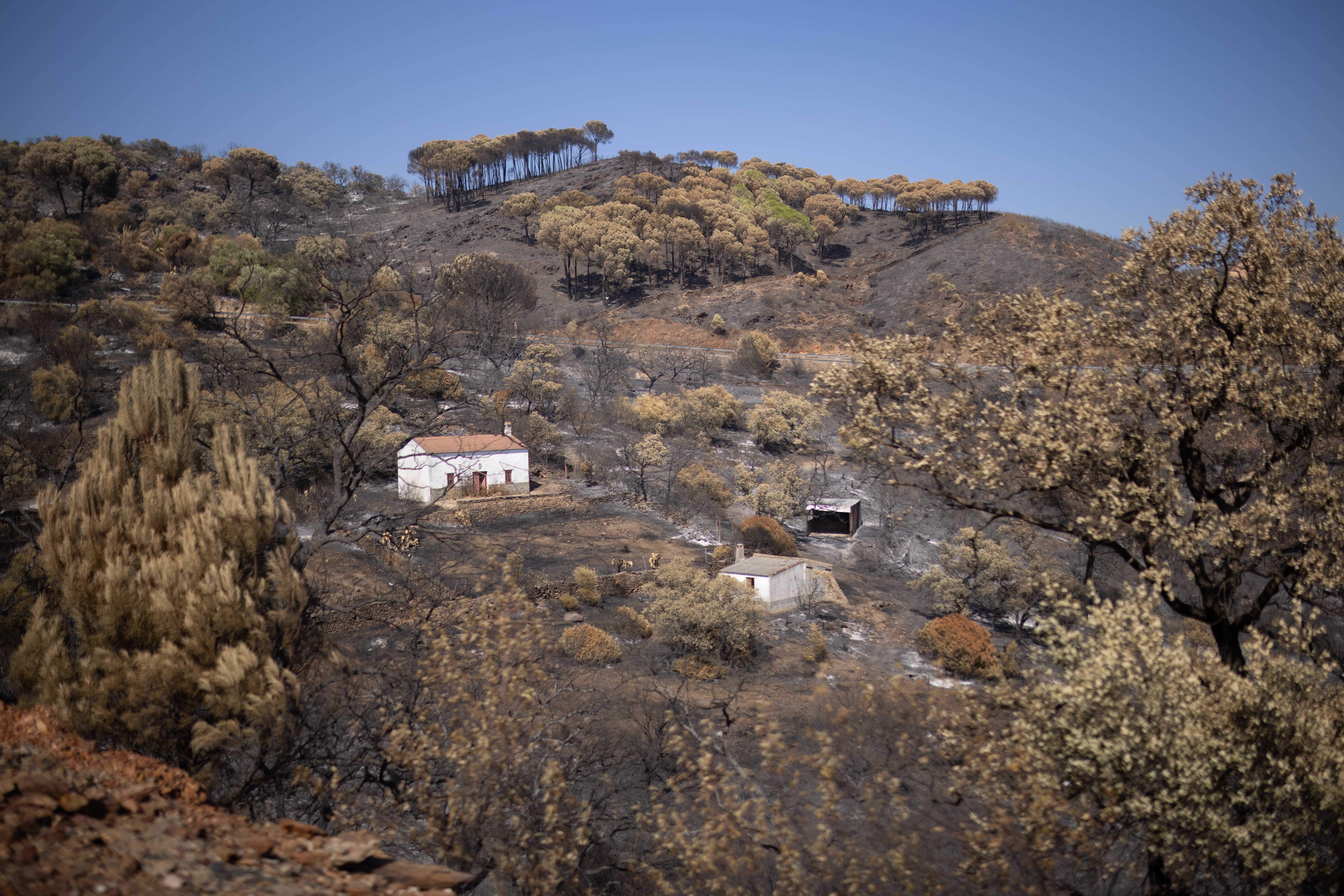 El incendio de Niebla deja un paisaje desolador en Berrocal (Huelva) El incendio de Niebla deja un paisaje desolador en Berrocal (Huelva)