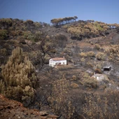 El incendio de Niebla deja un paisaje desolador en Berrocal (Huelva) / Clara Carrasco / Europa Press El incendio de Niebla deja un paisaje desolador en Berrocal (Huelva) / Clara Carrasco / Europa Press