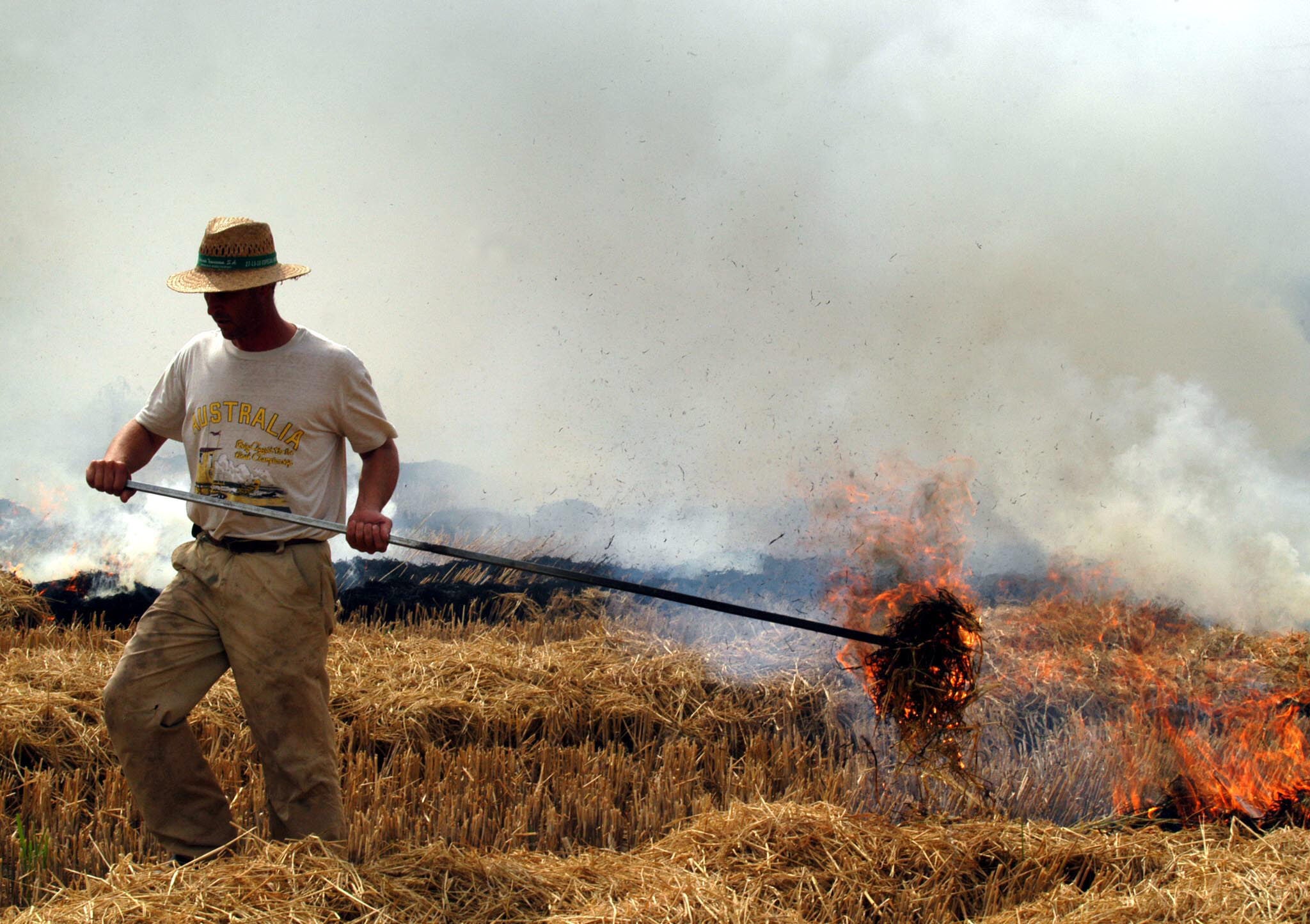 La Generalitat autoriza la quema de paja de arroz desde el 16 de septiembre por razones fitosanitarias La Generalitat autoriza la quema de paja de arroz desde el 16 de septiembre por razones fitosanitarias